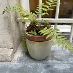 Cozy Apartment Near Bastille & Marais