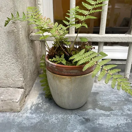 Cozy Near Bastille & Marais